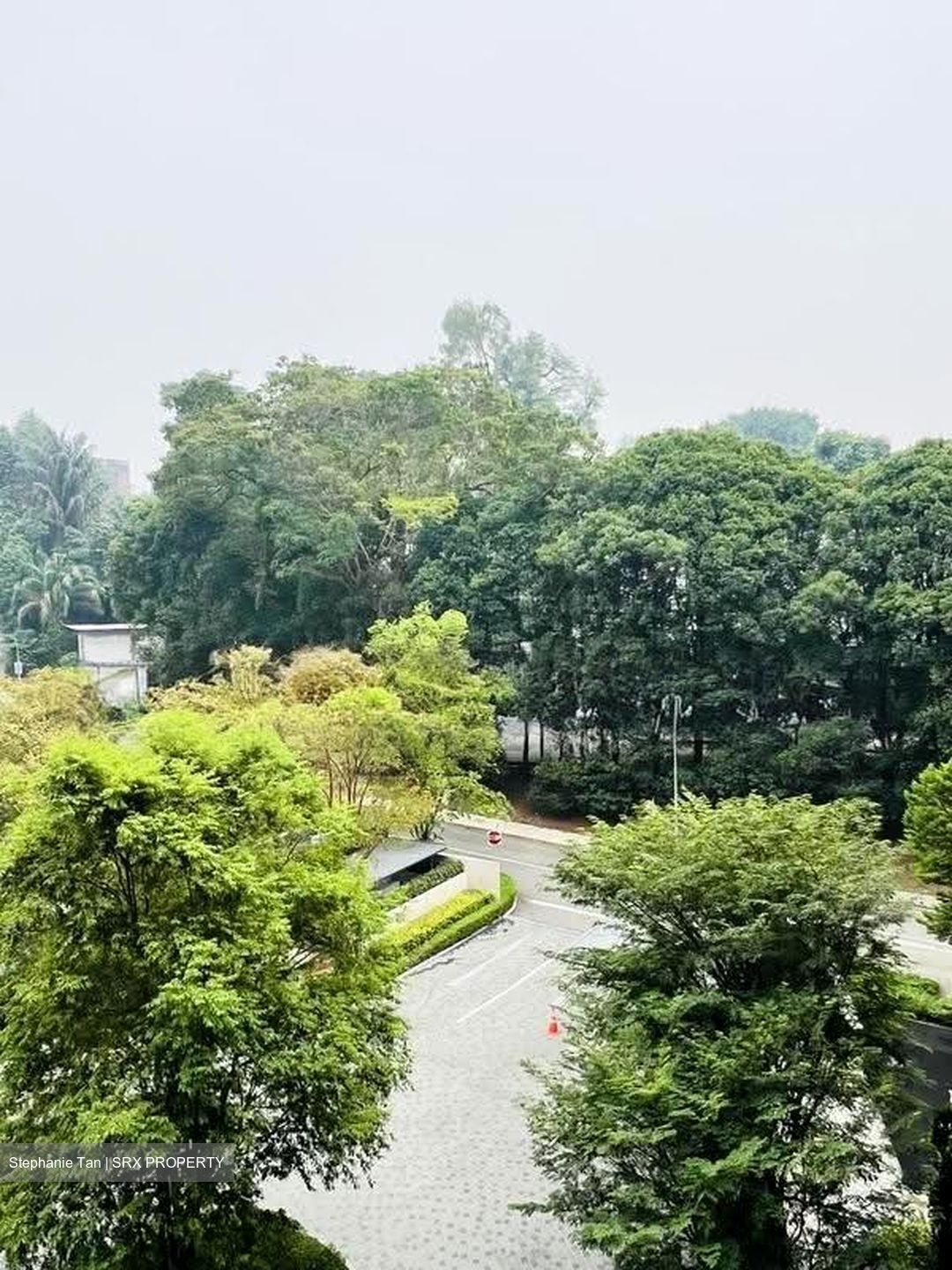 19 Nassim (D10), Apartment #620871391